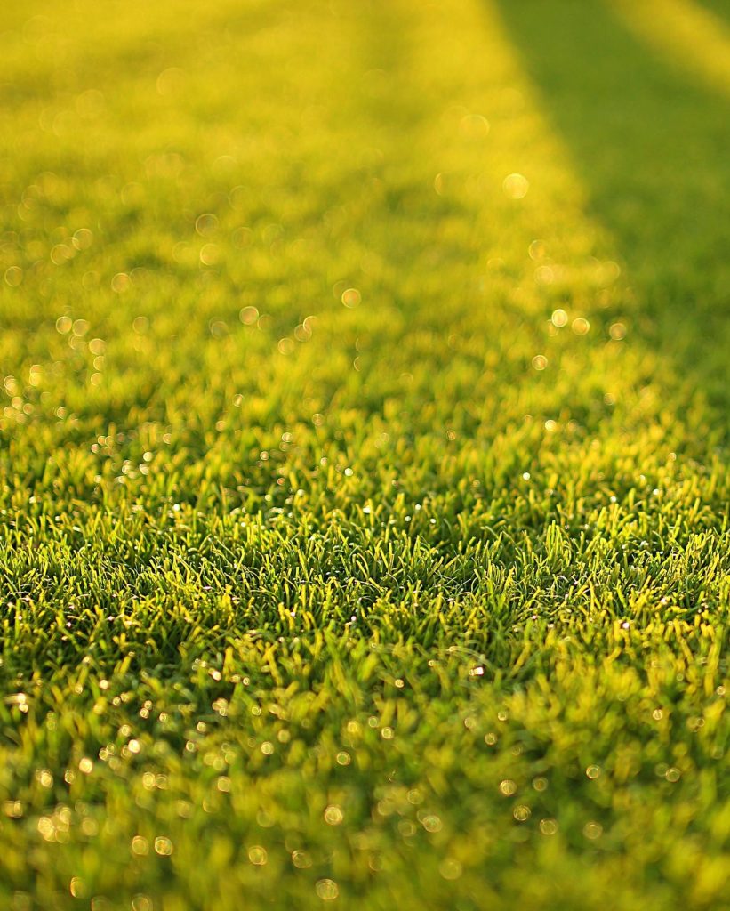 Good for Your Lawn, Better for the Planet