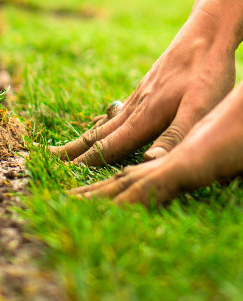 No-Fuss Setup & Seasonal Deliveries